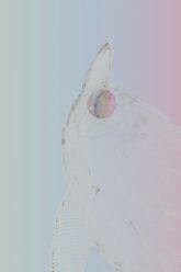 anastasiia-ornarin-94vwIRlHzzY-unsplash