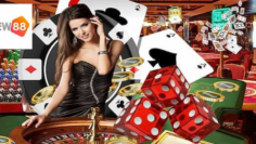 Annotation 2024-06-26 161438