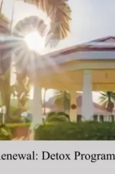 Embark on Renewal Detox Programs in Boston