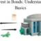 How2Invest in Bonds Understanding the Basics