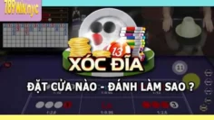 Hướng Dẫn Chơi Xóc Đĩa Chi Tiết Cho Người Mới Bắt Đầu