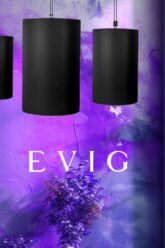 Raising the Bar The Aesthetics of Overhead Sound