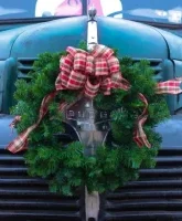 The Poetry of Trucks and Why We Love Them