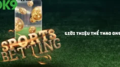 The outstanding advantages that ok9 sports hall brings