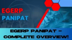 Wellhealthorganic.comto-increase-immunity-include-winter-foods-in-your-diet-health-tips-in-hindi Wellhealth Organics – 2024-07-01T191431.014