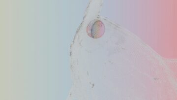 anastasiia-ornarin-94vwIRlHzzY-unsplash