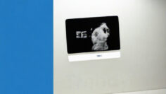 How Does Easy Techy Stay Ahead with Trendy Updates?