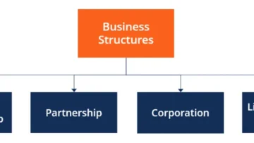 business-structure-1024×346