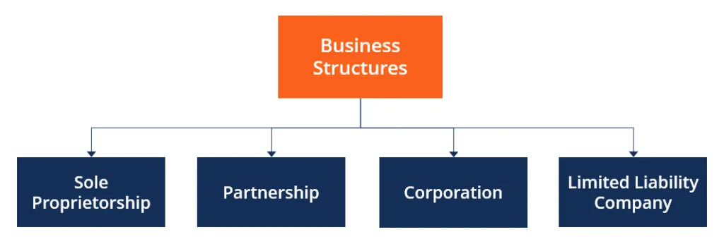 business structure 1024x346 1