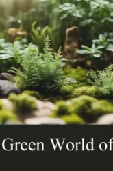 discover the green world of terrariums bringing nature indoors