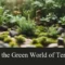 discover the green world of terrariums bringing nature indoors