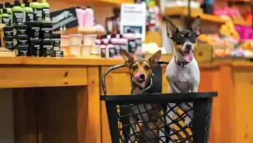 download_-_2024-06-24T093050.012