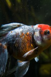 ge8b38caa660b145003b84d983c9da4deefb983a809dec002197912f40fbb40b7bf14d6d0d1596700c5a358ccad037017998049ab02843bebee53f06a241829b0_1280