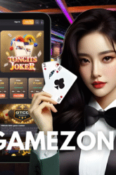 help gamezone operate