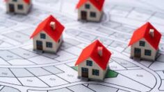 images – 2024-11-11T124221.267