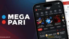 installing the Megapari app