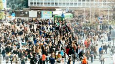 jackie-alexander-ny24z7H3YZQ-unsplash