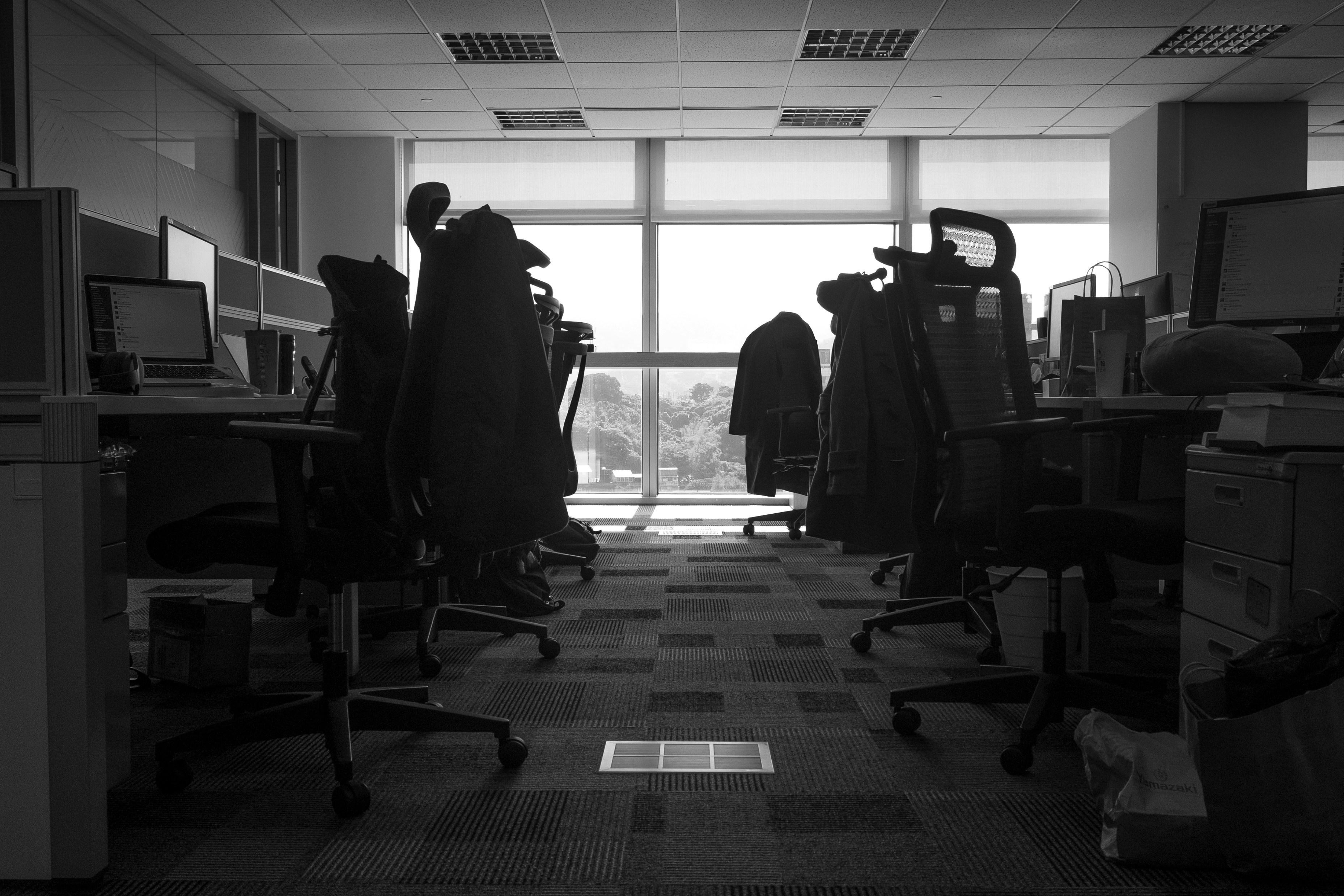 kenzo tu brjG4xYibO4 unsplash