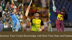 maximize your cricket knowledge with real-time stats and updates