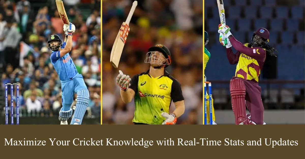 maximize your cricket knowledge with real-time stats and updates