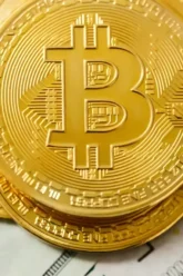 pexels-karolina-grabowska-5980582-scaled (1)