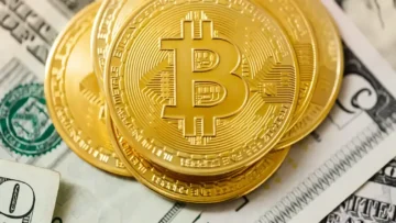 pexels-karolina-grabowska-5980582-scaled (1)