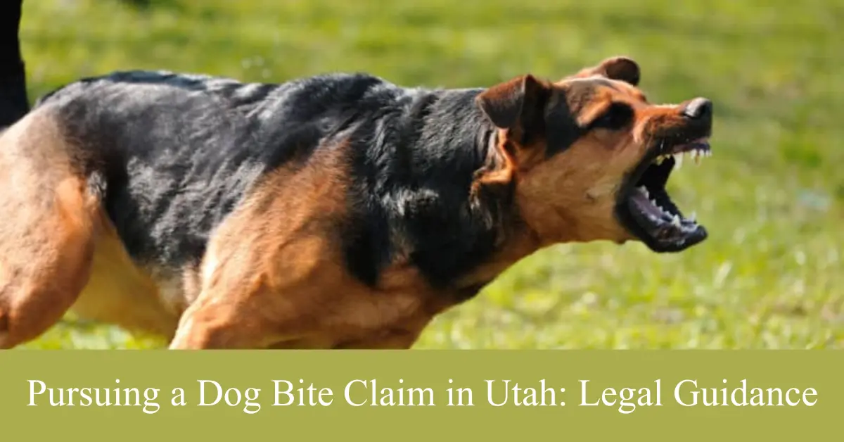 pursuing a dog bite claim in utah legal guidance
