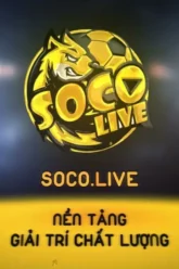 socolive tv your ultimate destination for real-time soccer score updates