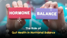 the role of gut health in hormonal balance (1)