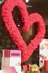 the spark shop experience where quality style converge