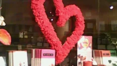 the spark shop experience where quality style converge