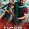 tiger 3 movie review