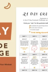 transform your recovery how the 21-day gratitude challenge reframes your mindset