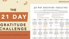 transform your recovery how the 21-day gratitude challenge reframes your mindset