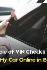 vin checks