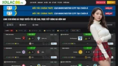 watch live football and stay updated with match results