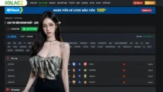 watch live football and stay updated with the english premier league schedule