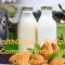 WellHealthOrganic Buffalo Milk Tag – Complete Information – Dot Movie