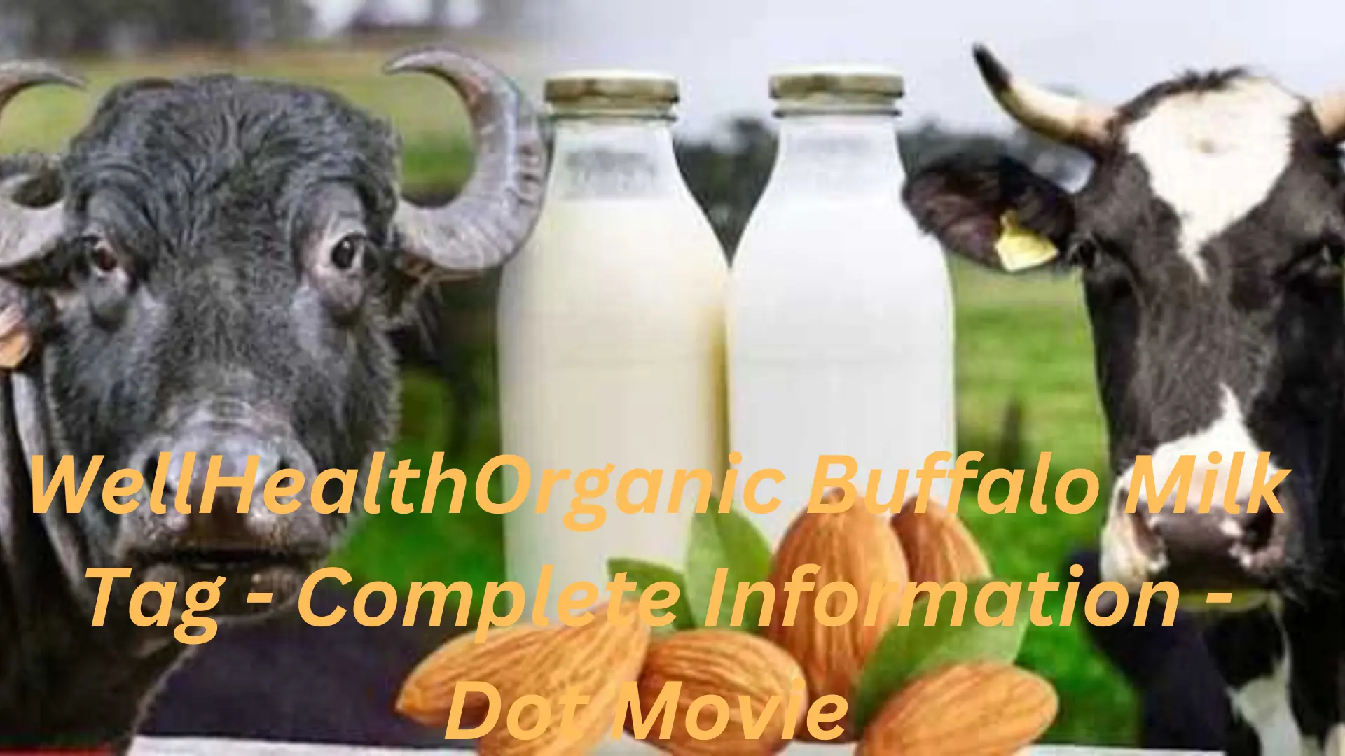 WellHealthOrganic Buffalo Milk Tag - Complete Information - Dot Movie