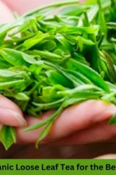 why you should buy organic loose leaf tea for the best natural tea experience