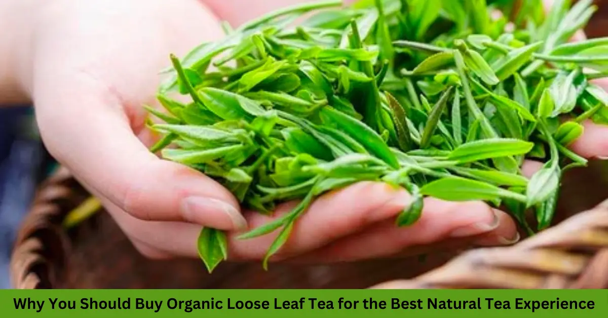 Why You Should Buy Organic Loose Leaf Tea for the Best Natural Tea Experience